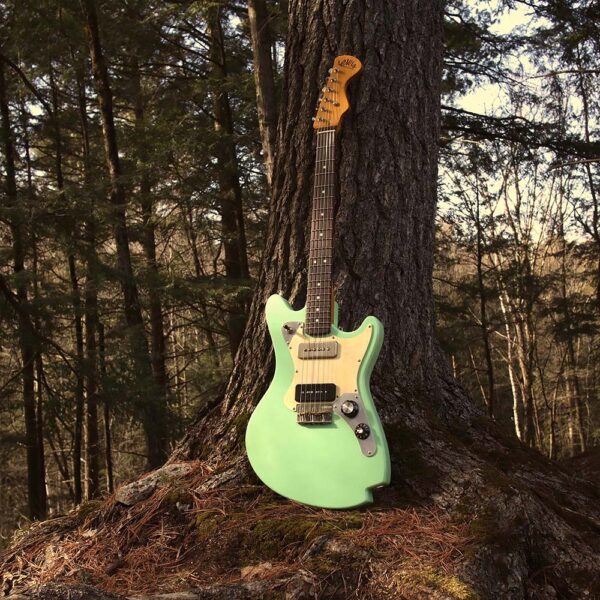 Lewis Minnow handcrafted Guitar in the forest